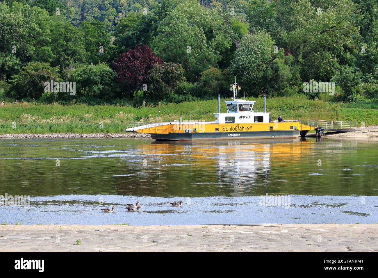 23 luglio 2023 - Pillnitz, Dresda in Germania: Il traghetto a Dresda collega Pillnitz con Kleinzschachwitz ed è gestito dalla Dresdner Verkehrs Foto Stock