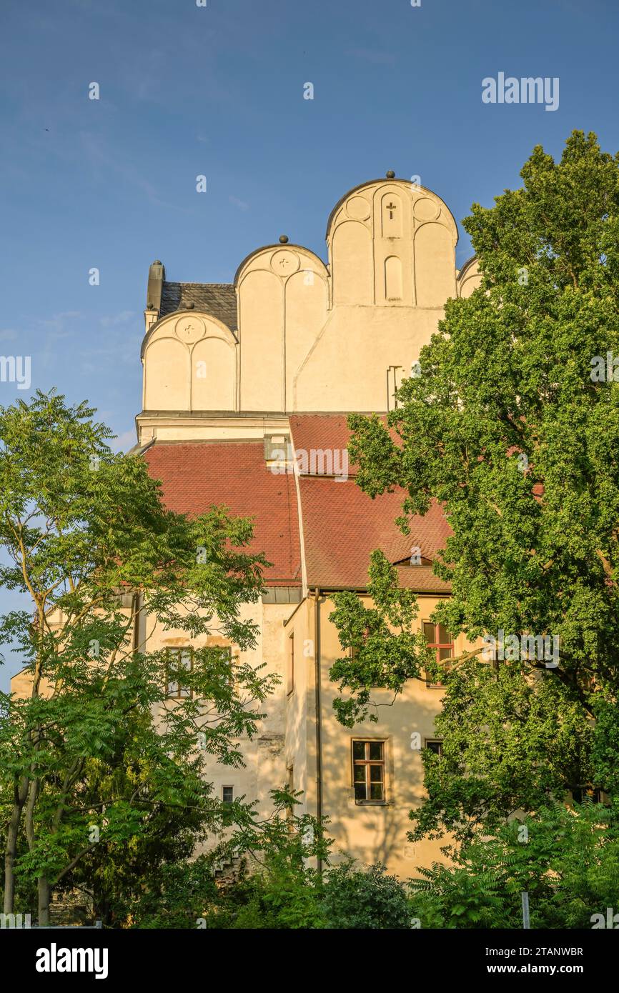 Dom, Rückseite, Halle an der Saale, Sachsen-Anhalt, Deutschland Foto Stock