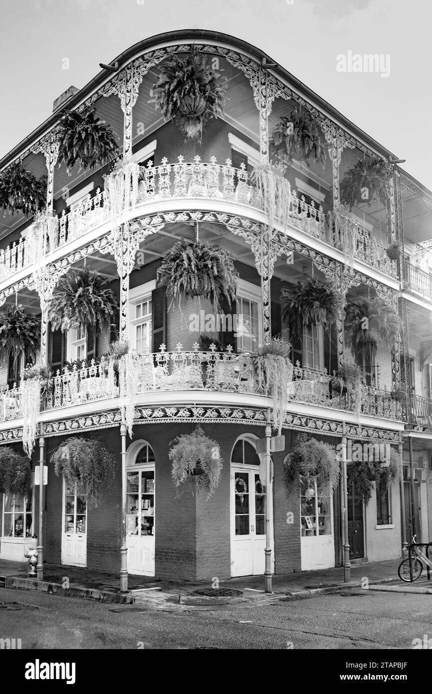 Edificio con balcone in ferro con fiori verdi nel quartiere francese di New Orleans, USA Foto Stock