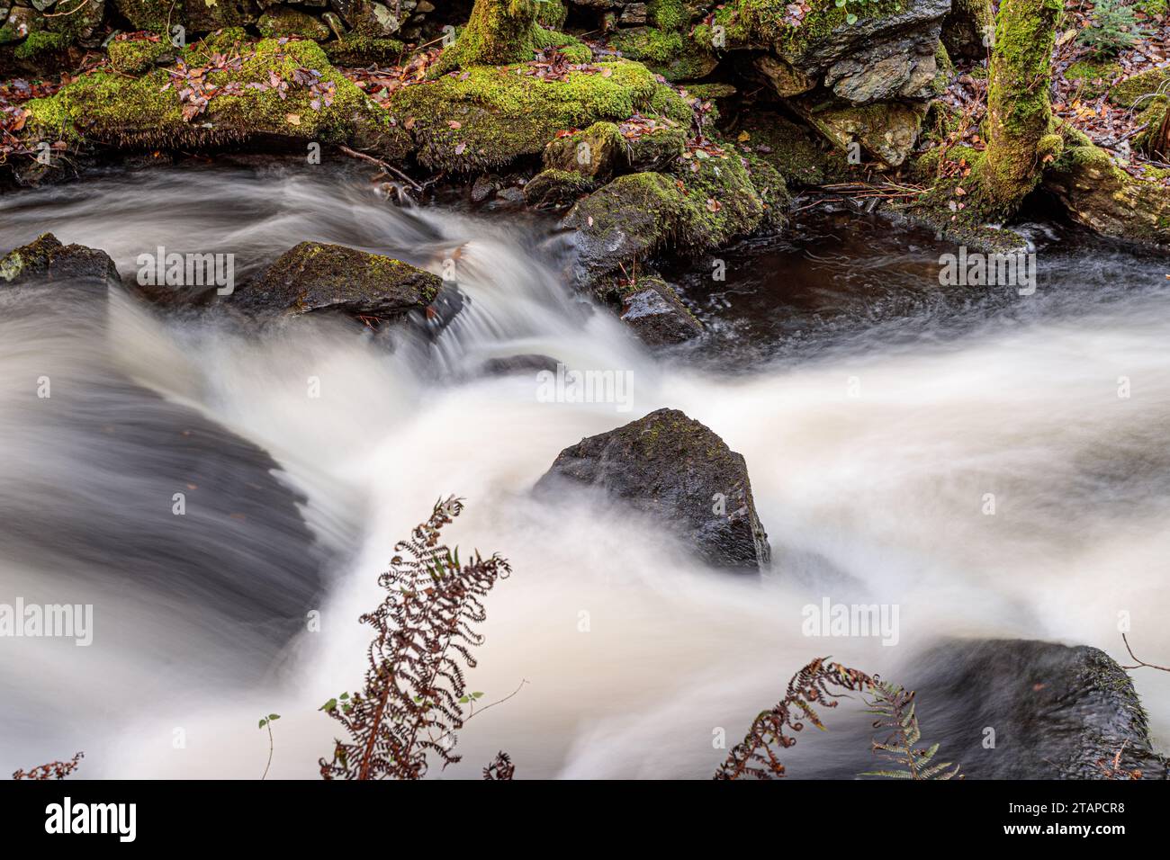 Ruscello che cade sulle rocce, Snowdonia, Galles del Nord Foto Stock
