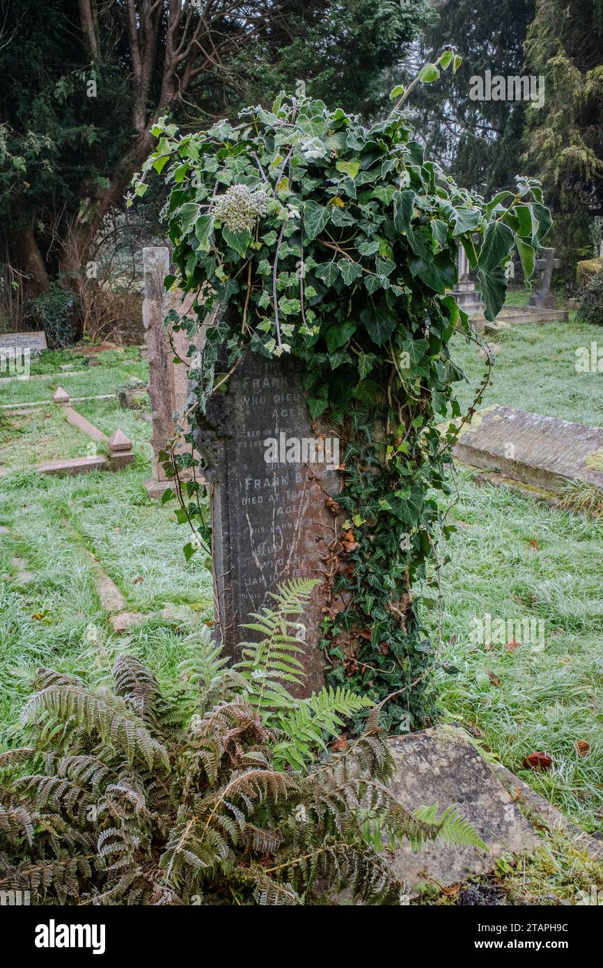Il giorno di Frosty Winter in un cimitero a Cardiff, in Galles. Pietra tombale ricoperta di edera. Evocativo, triste, lutto, gotico, morte, aldilà. Concetti. Foto Stock