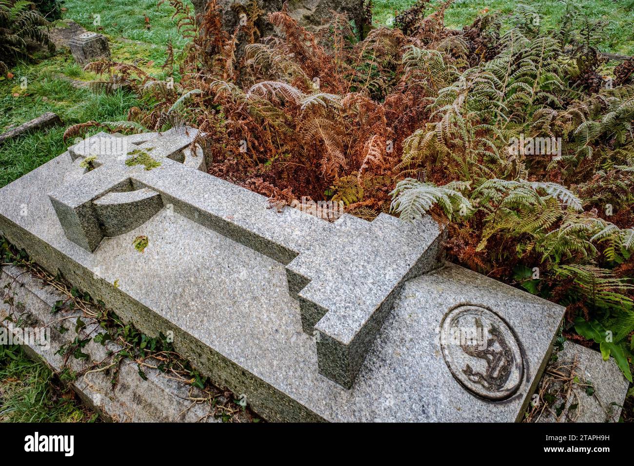 Il giorno di Frosty Winter in un cimitero a Cardiff, in Galles. Pietra tombale celtica ricoperta di felce. Evocativo, triste, lutto, gotico, morte, aldilà. Concetti. Foto Stock