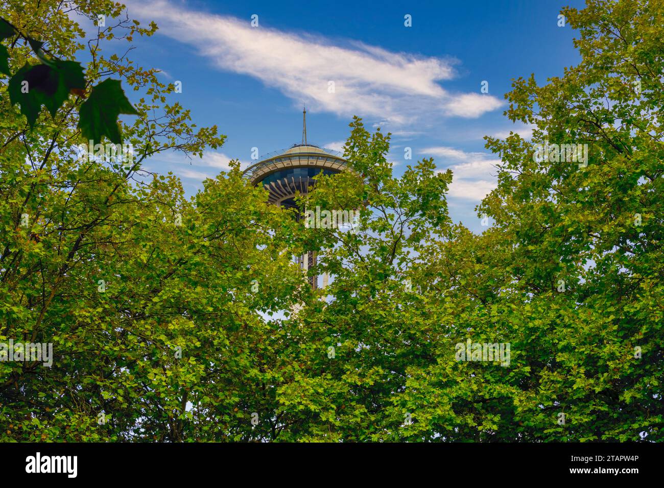 Architettura di un paesaggio verde con alberi e fiori sotto un cielo soleggiato Foto Stock