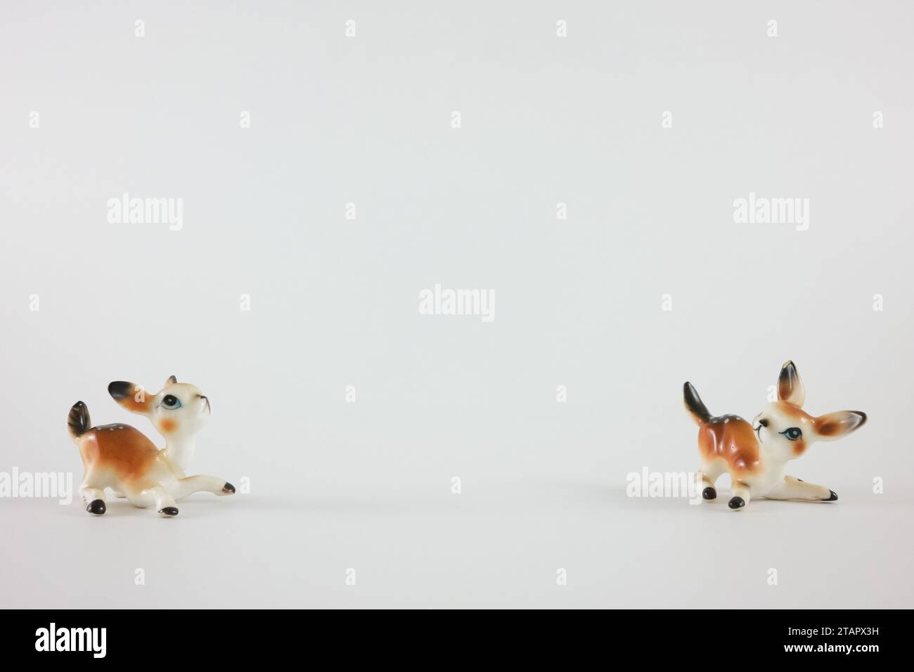 due cervi su sfondo bianco Foto Stock