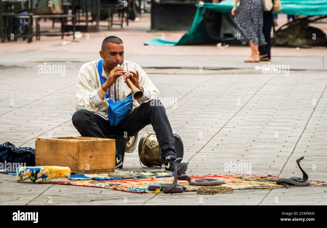 Marrakech, Marocco, 8 aprile 2023. Un uomo marocchino incantatore di serpenti che gioca con i serpenti in piazza Jemaa el-Fnaa di Marrakech. Foto Stock