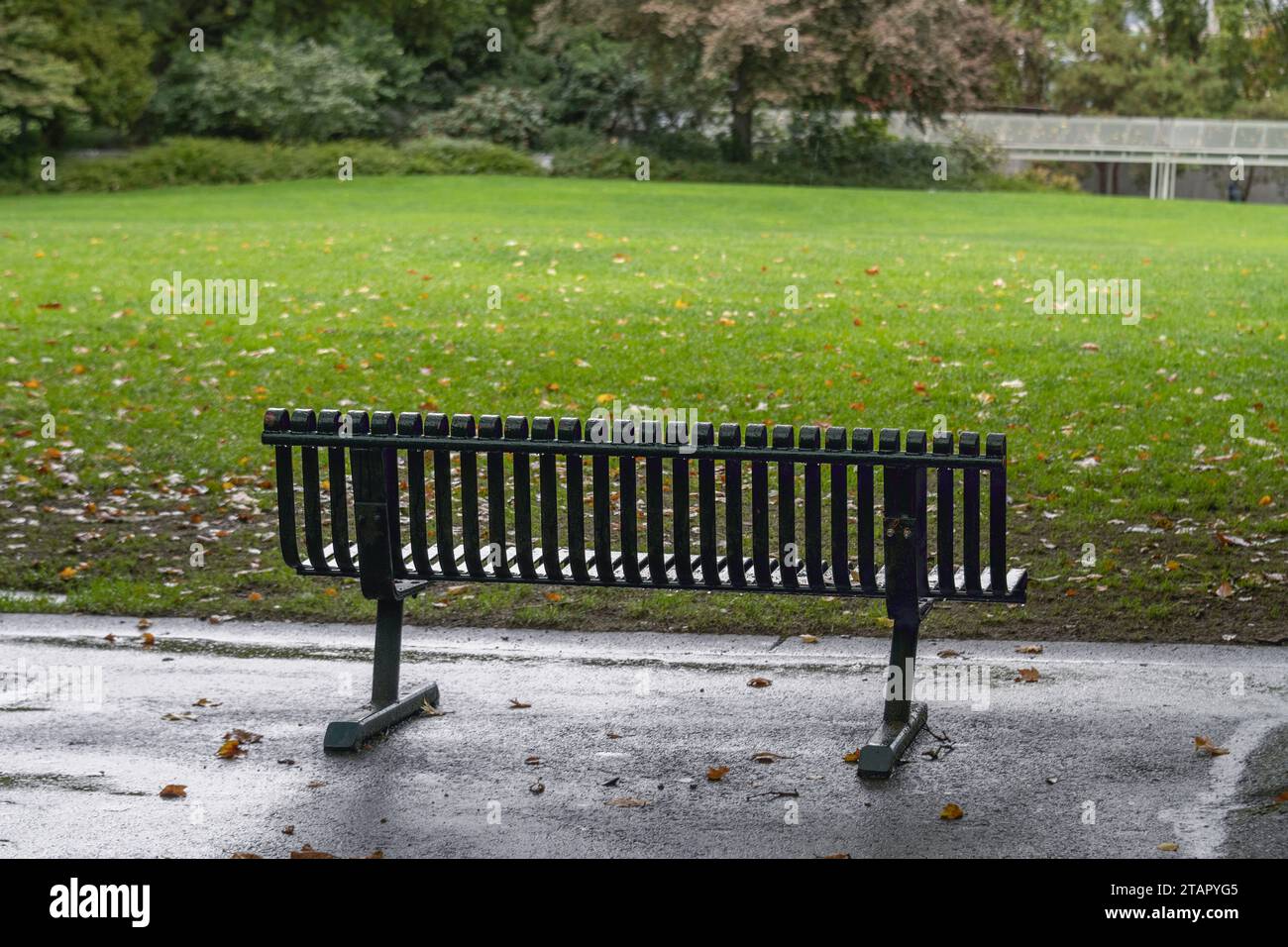 Questa accogliente panchina del parco è il luogo perfetto per rilassarsi e godersi un buon libro, accompagnato dalle canzoni melodiche degli uccelli cinguettili. ReadingRetreat Foto Stock