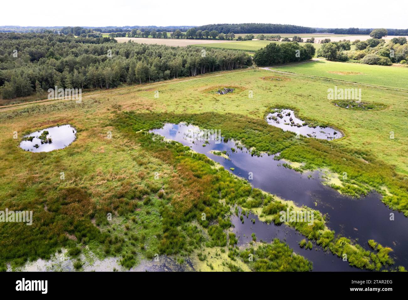 Vreeser Wiesen Bockholter dose immagine drone, zona torbiera riumidificata, Bockholter dose riserva naturale, Emsland, Germania Foto Stock