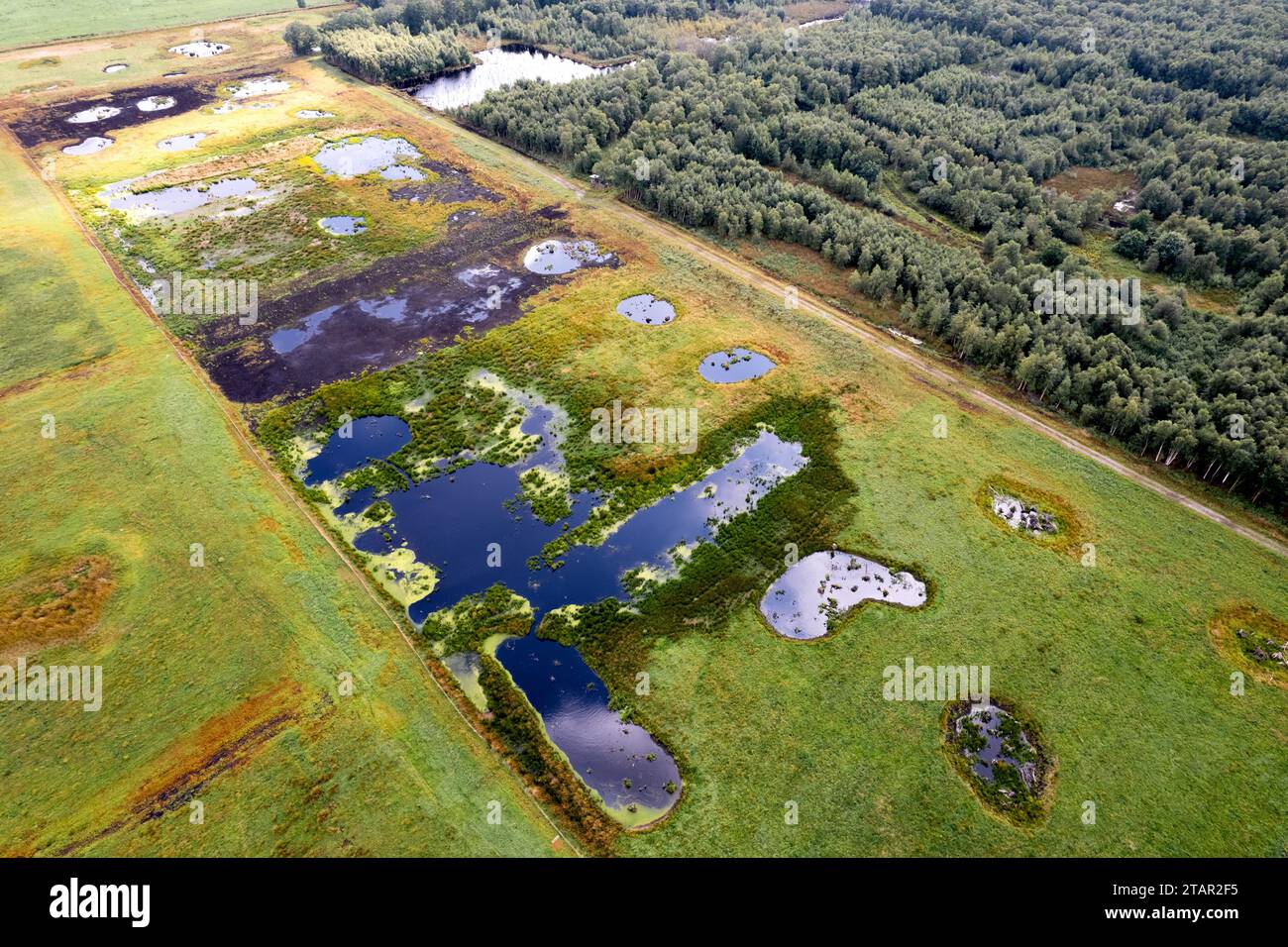 Vreeser Wiesen Bockholter dose immagine drone, zona torbiera riumidificata, Bockholter dose riserva naturale, Emsland, Germania Foto Stock