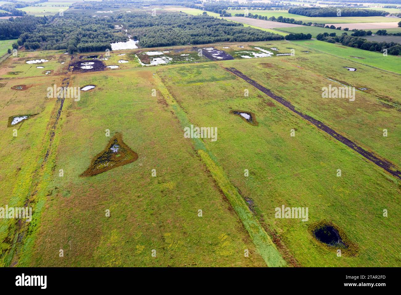 Vreeser Wiesen Bockholter dose immagine drone, zona torbiera riumidificata, Bockholter dose riserva naturale, Emsland, Germania Foto Stock