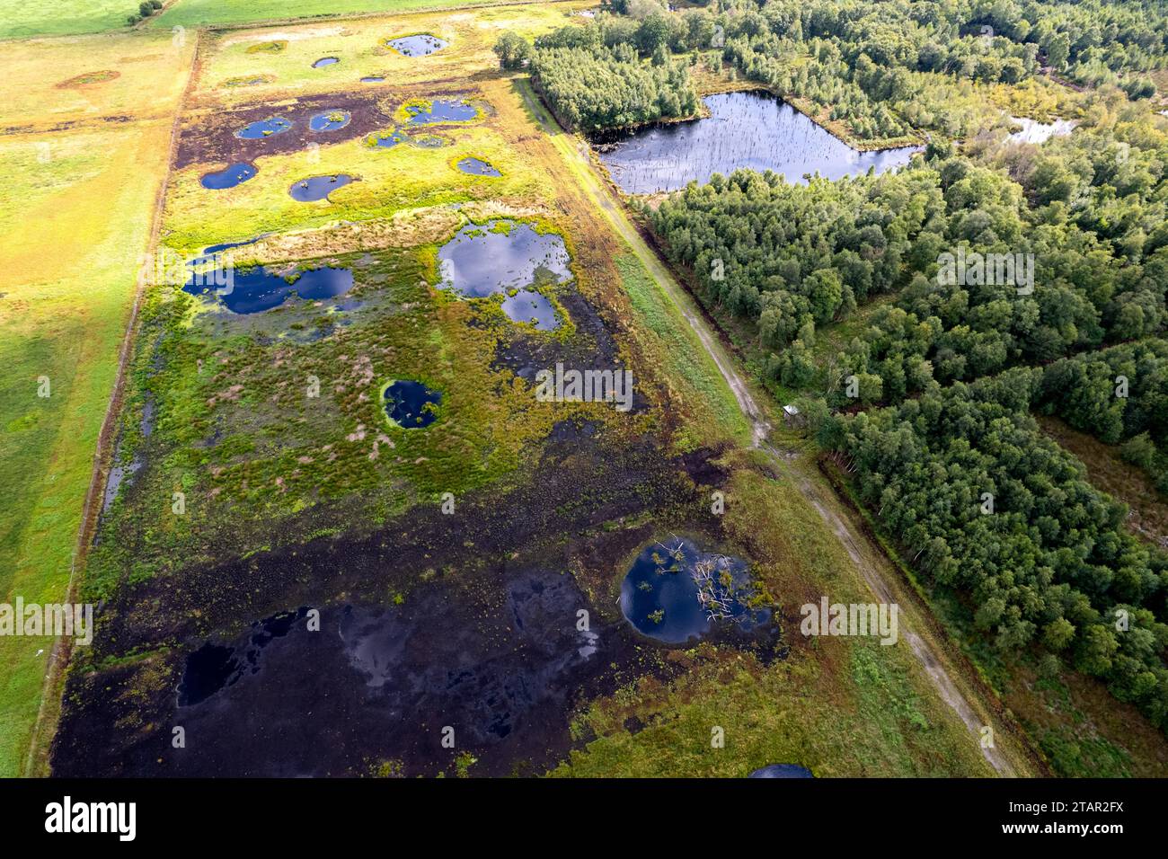Vreeser Wiesen Bockholter dose immagine drone, zona torbiera riumidificata, Bockholter dose riserva naturale, Emsland, Germania Foto Stock