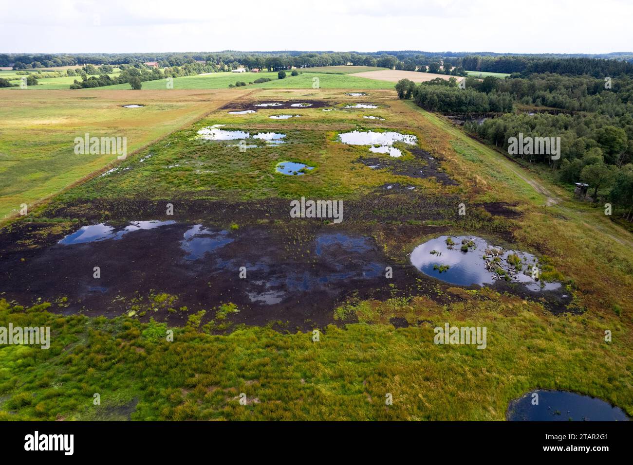 Vreeser Wiesen Bockholter dose immagine drone, zona torbiera riumidificata, Bockholter dose riserva naturale, Emsland, Germania Foto Stock