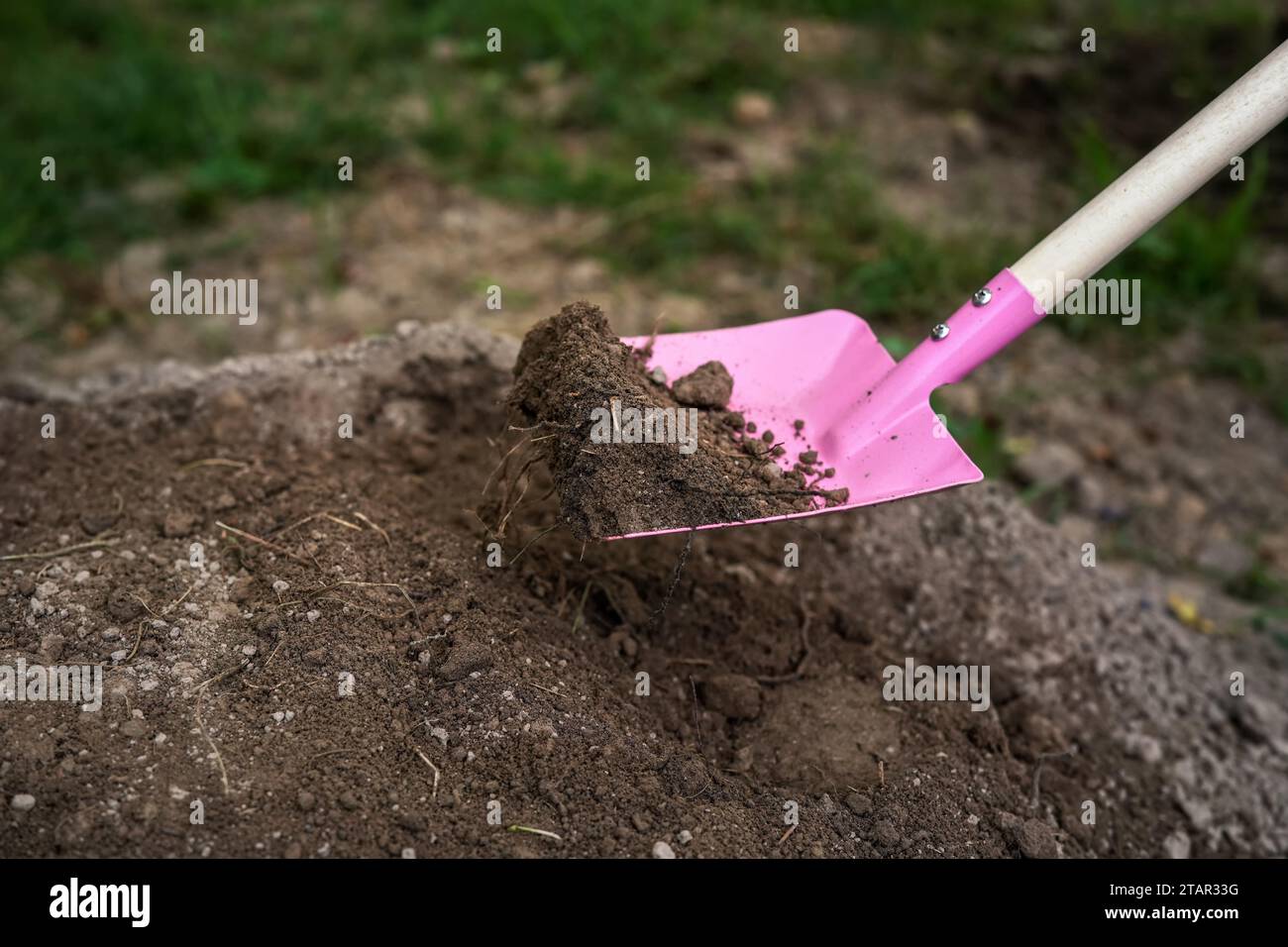 Lavori in giardino - pala rosa piccola con un po' di terreno, dettaglio primo piano Foto Stock