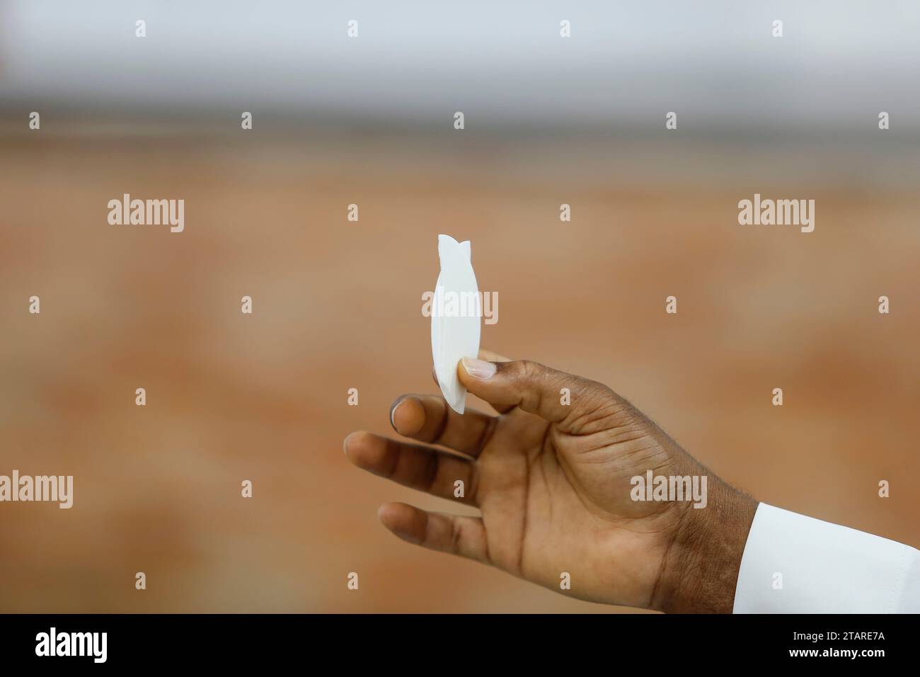 Consacrazione del pane e del vino nel corpo e nel sangue di Gesù - Sacra Ostia Foto Stock