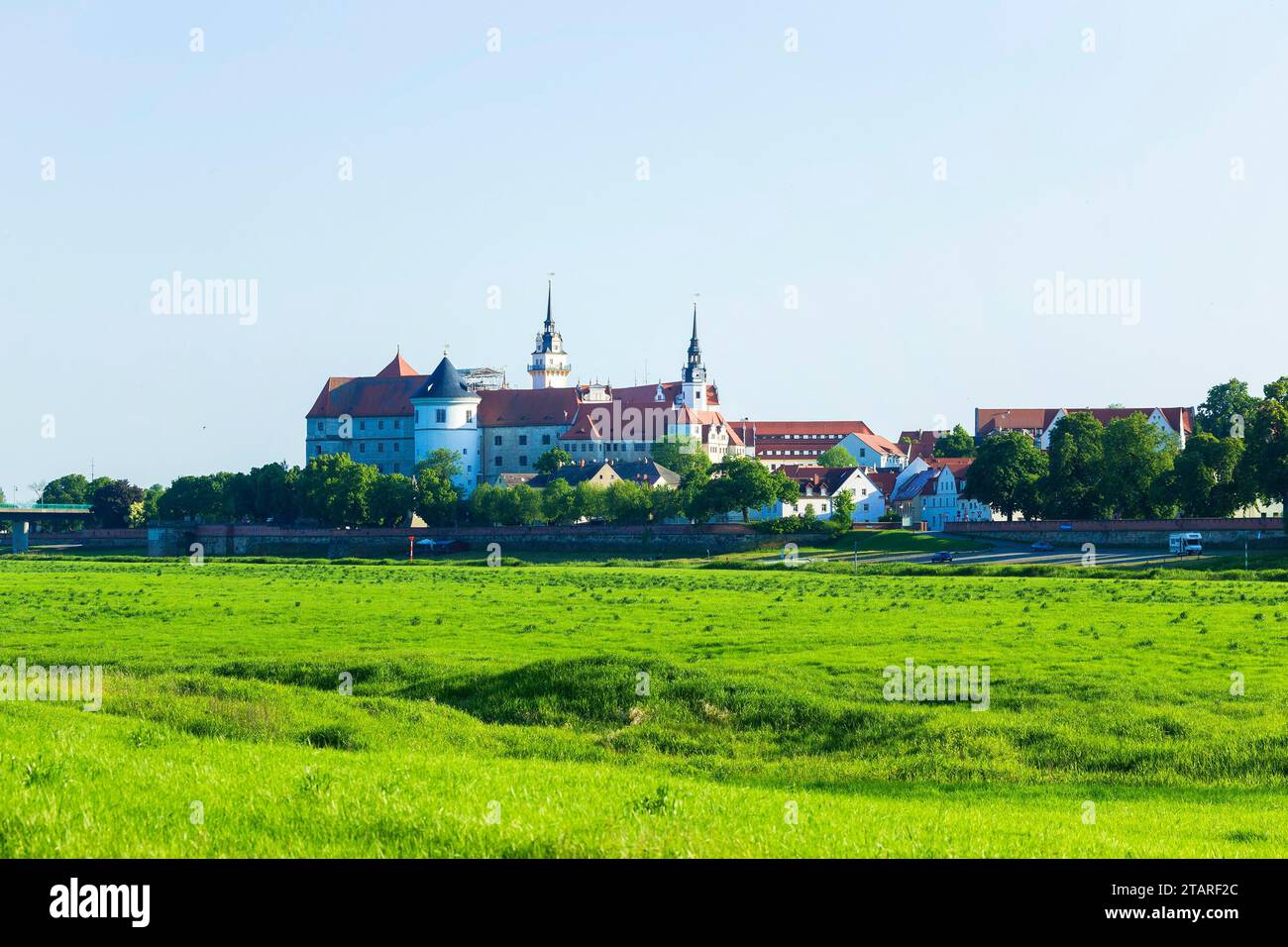 Torgau City silhouette vista da est Foto Stock
