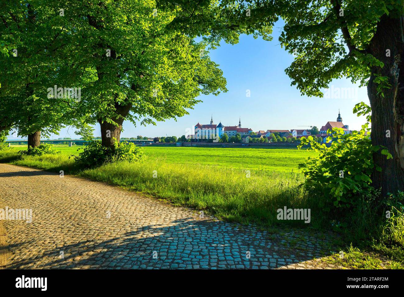 Torgau City silhouette vista da est Foto Stock