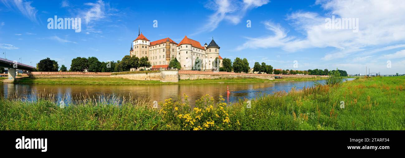 Torgau City silhouette Foto Stock