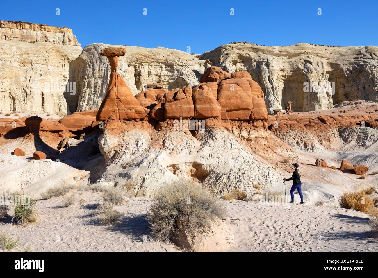 Toadstool Hoodoos insolite formazioni rocciose nello Utah, Escalante National Monument. USA. Foto Stock