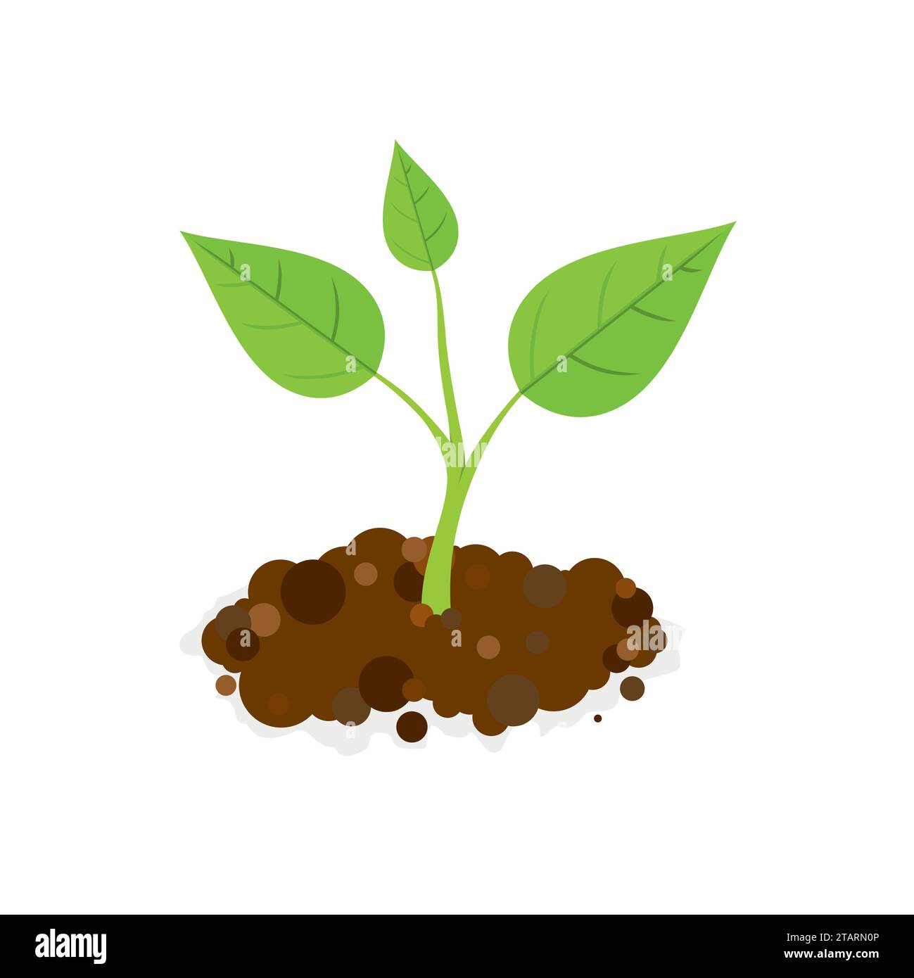 Green Sprout a terra. Illustrazione vettoriale. Illustrazione Vettoriale