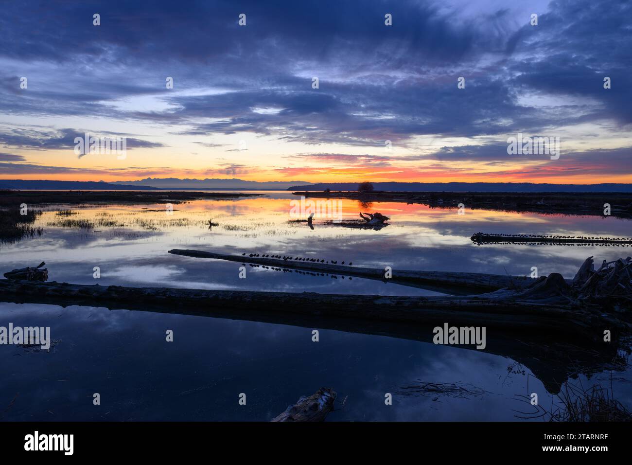 Cielo blu e orizzonte arancione al tramonto sulla baia di Skagit Foto Stock