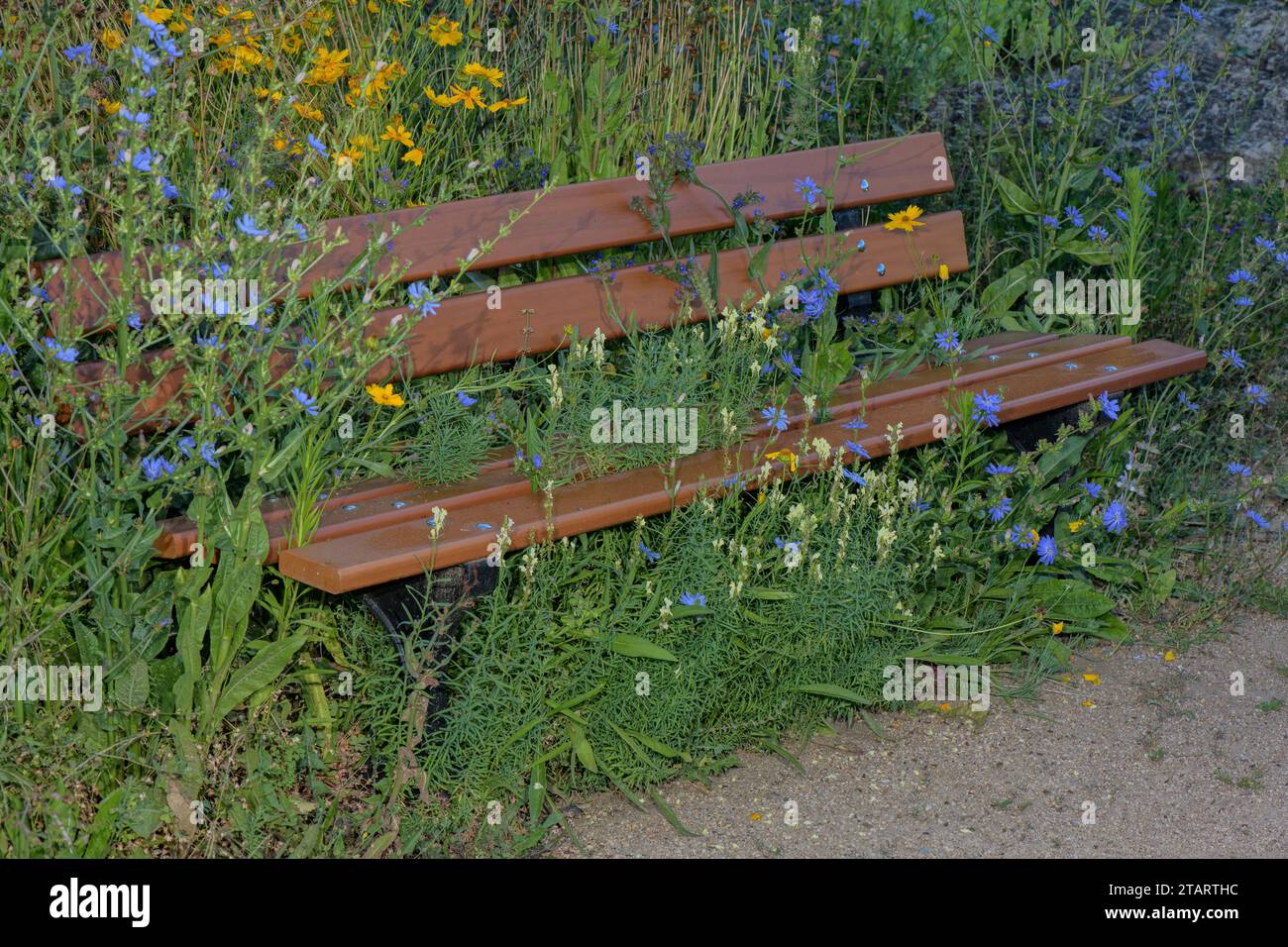 Posto a sedere in giardino trascurato, circondato da fiori. Foto Stock