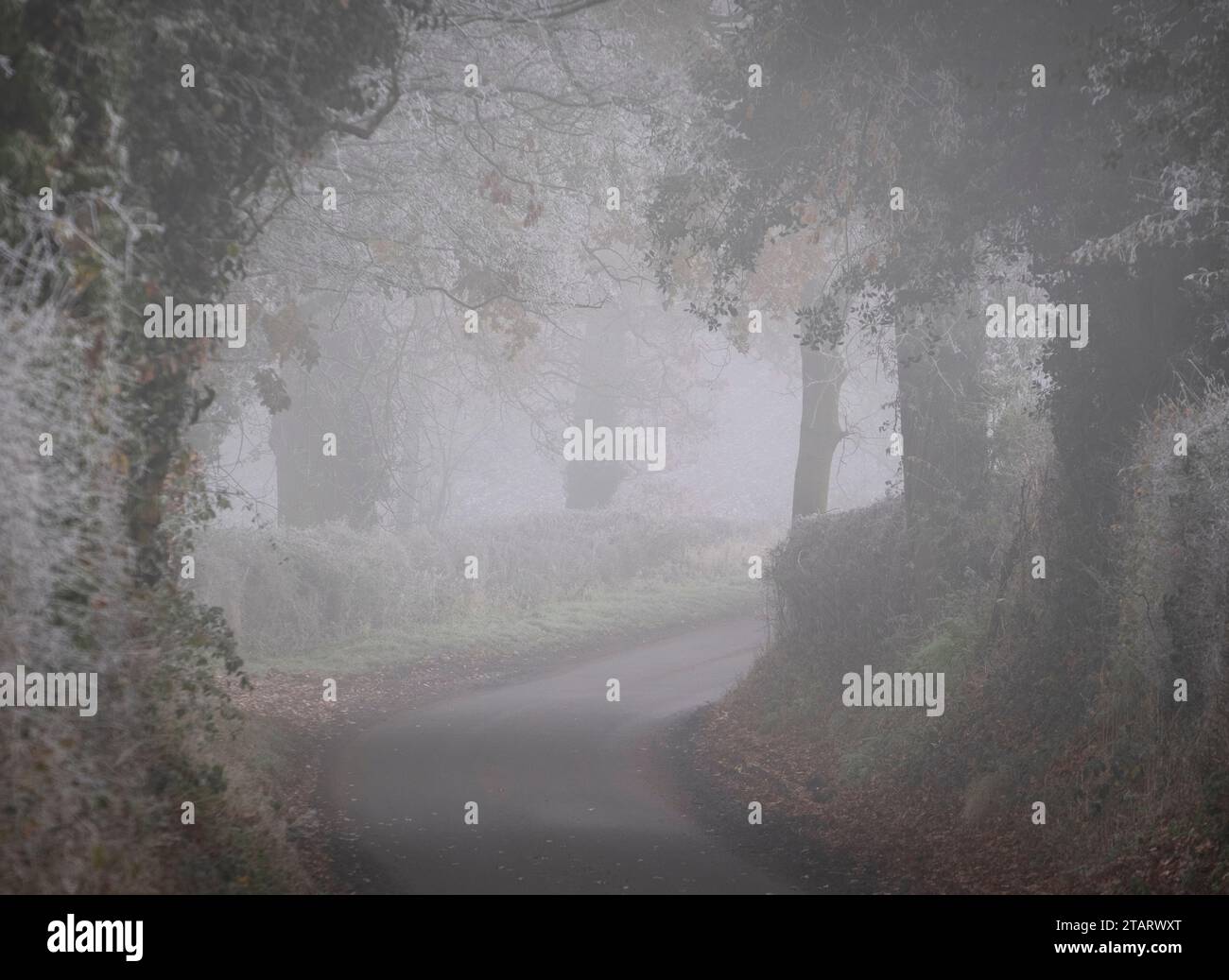 Una strada di campagna ancora tranquilla è avvolta nella nebbia mattutina, mentre una brina invernale afferra Worcester, Inghilterra. Foto Stock