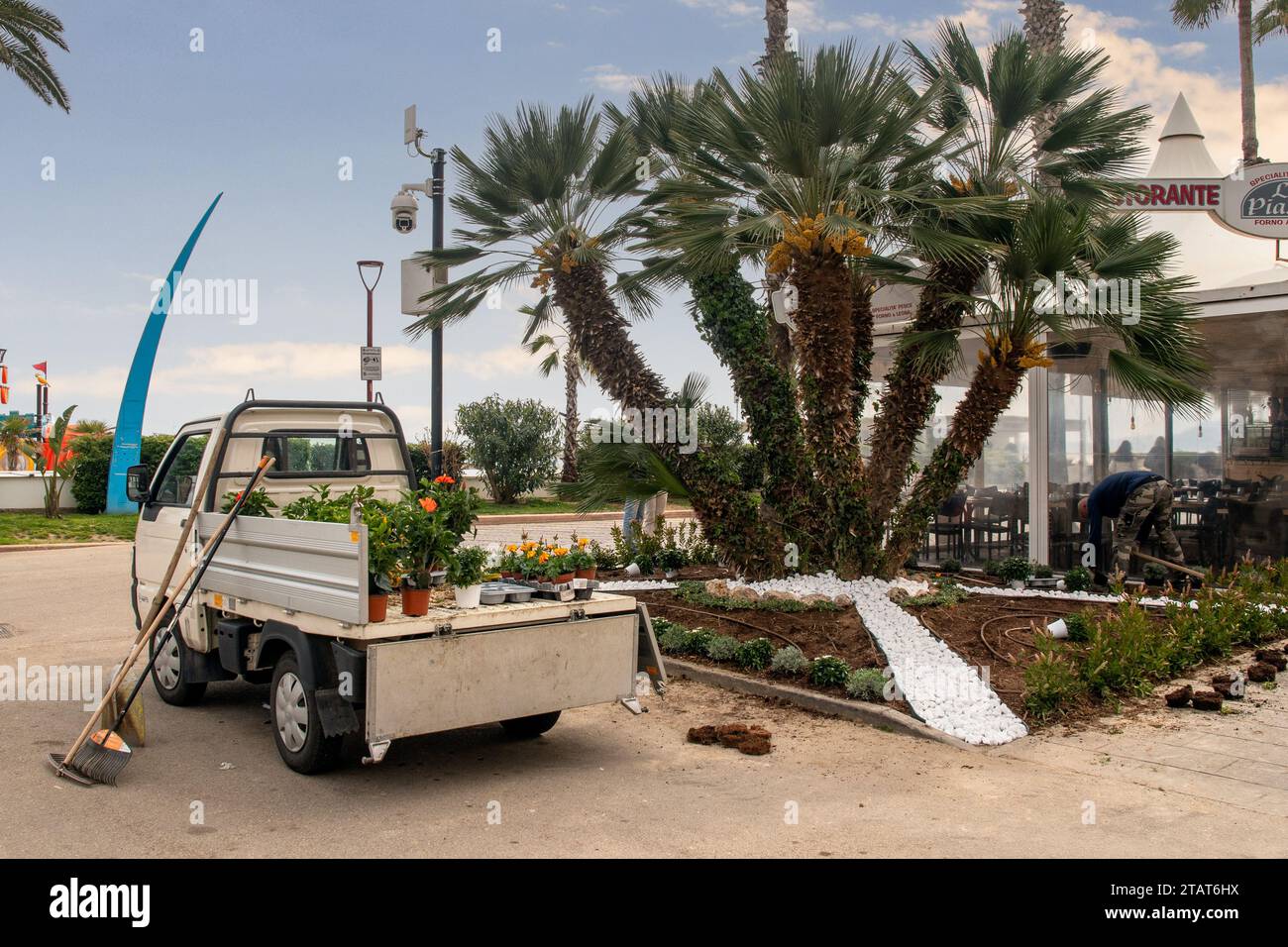 Piccolo furgone carico di piante fiorite e un giardiniere comunale che lavora in un'aiuola sul lungomare in primavera, finale Ligure, Savona, Liguria Foto Stock