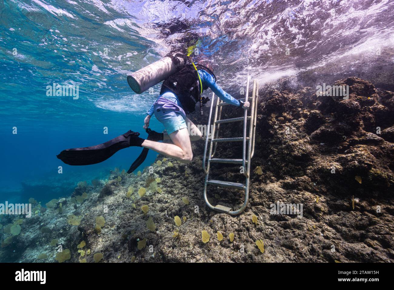 Un subacqueo si toglie le pinne prima di uscire su una scala di immersione alla Sunset House a Grand Cayman. Foto Stock