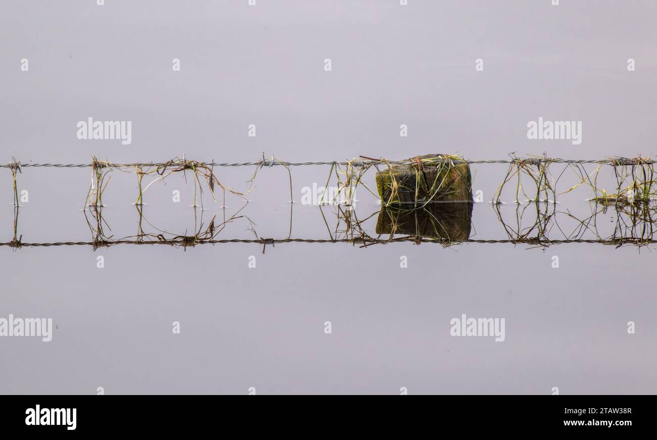 La recinzione di confine del campo si è sommersa quasi fino alla cima dopo una pioggia intensa e un'alta marea. Palude da pascolo costiero, Hants. Foto Stock