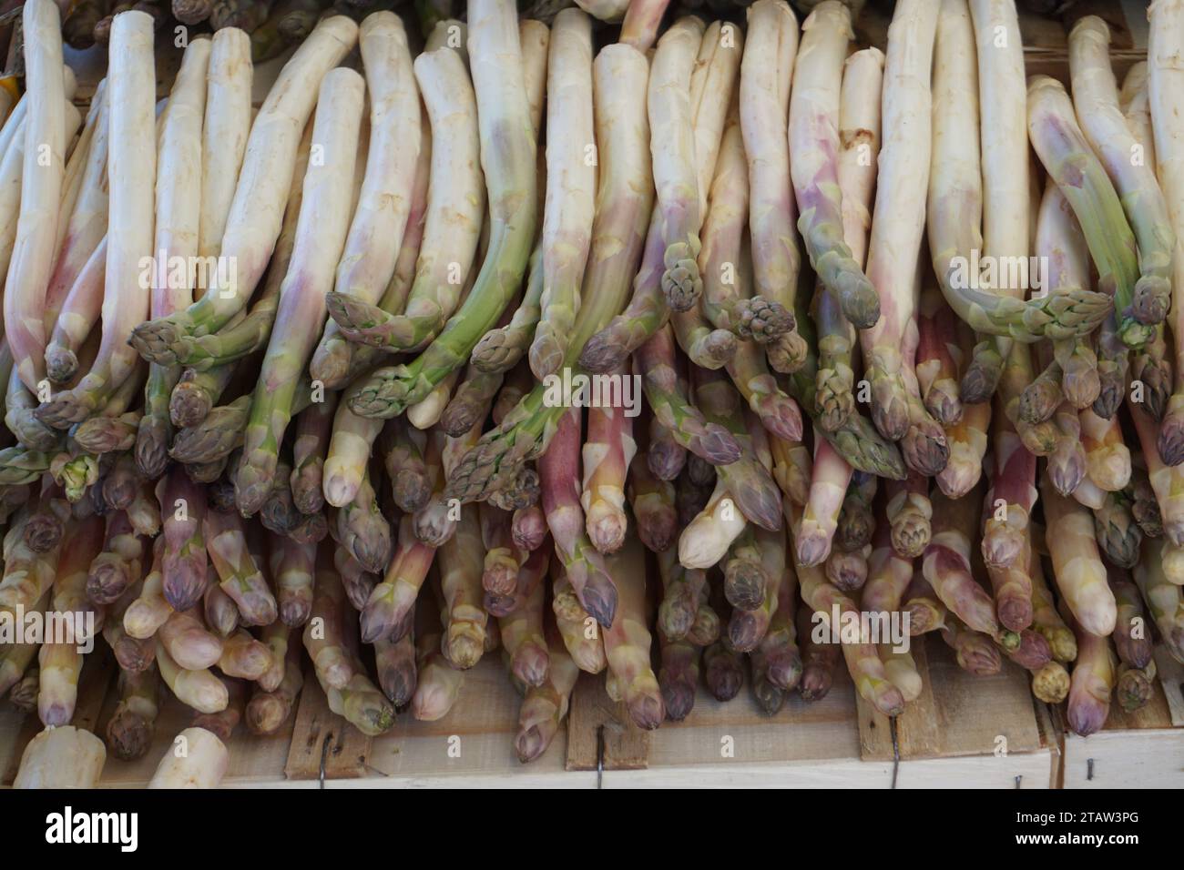 primo piano di asparagi freschi in vendita sul mercato in francia Foto Stock
