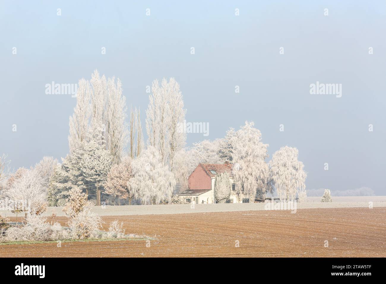 Casa isolata, circondata da alberi sequestrati dal gelo invernale, sotto un raggio di sole Foto Stock
