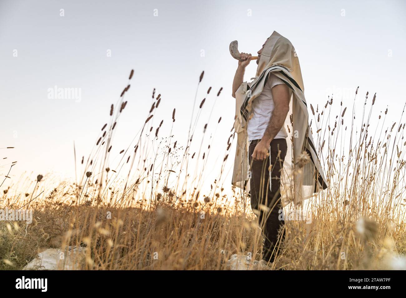 Un ebreo in un tradizionale scialle di preghiere tallit che soffiava lo shofar del corno di ariete, nel campo contro il cielo dell'alba su Rosh HaShana e Yom Kippurim Foto Stock