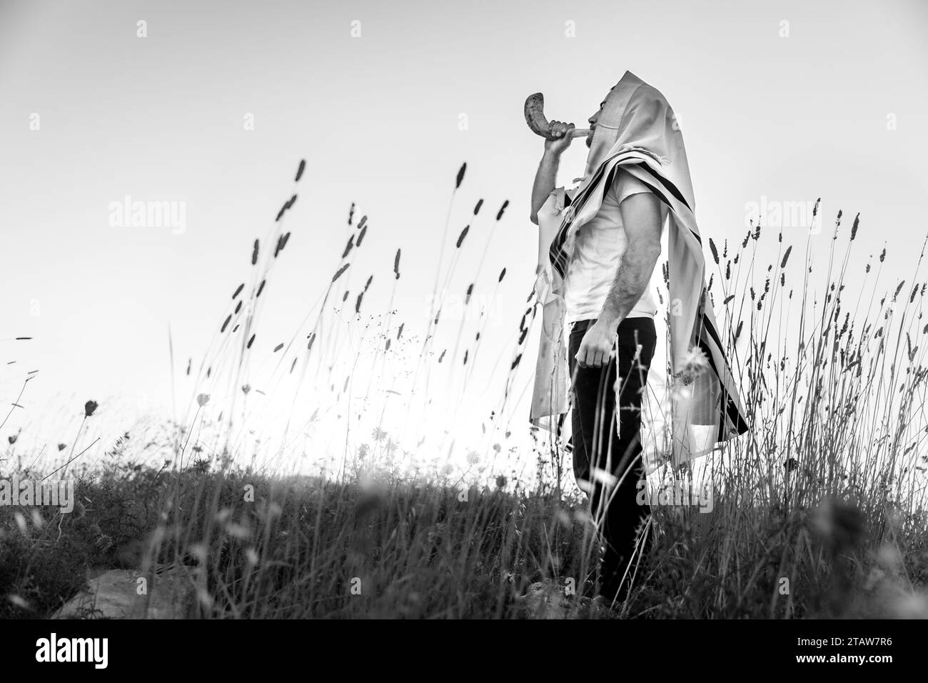 Un ebreo in un tradizionale scialle di preghiere tallit che soffiava lo shofar del corno di ariete, nel campo contro il cielo dell'alba su Rosh HaShana e Yom Kippurim Foto Stock