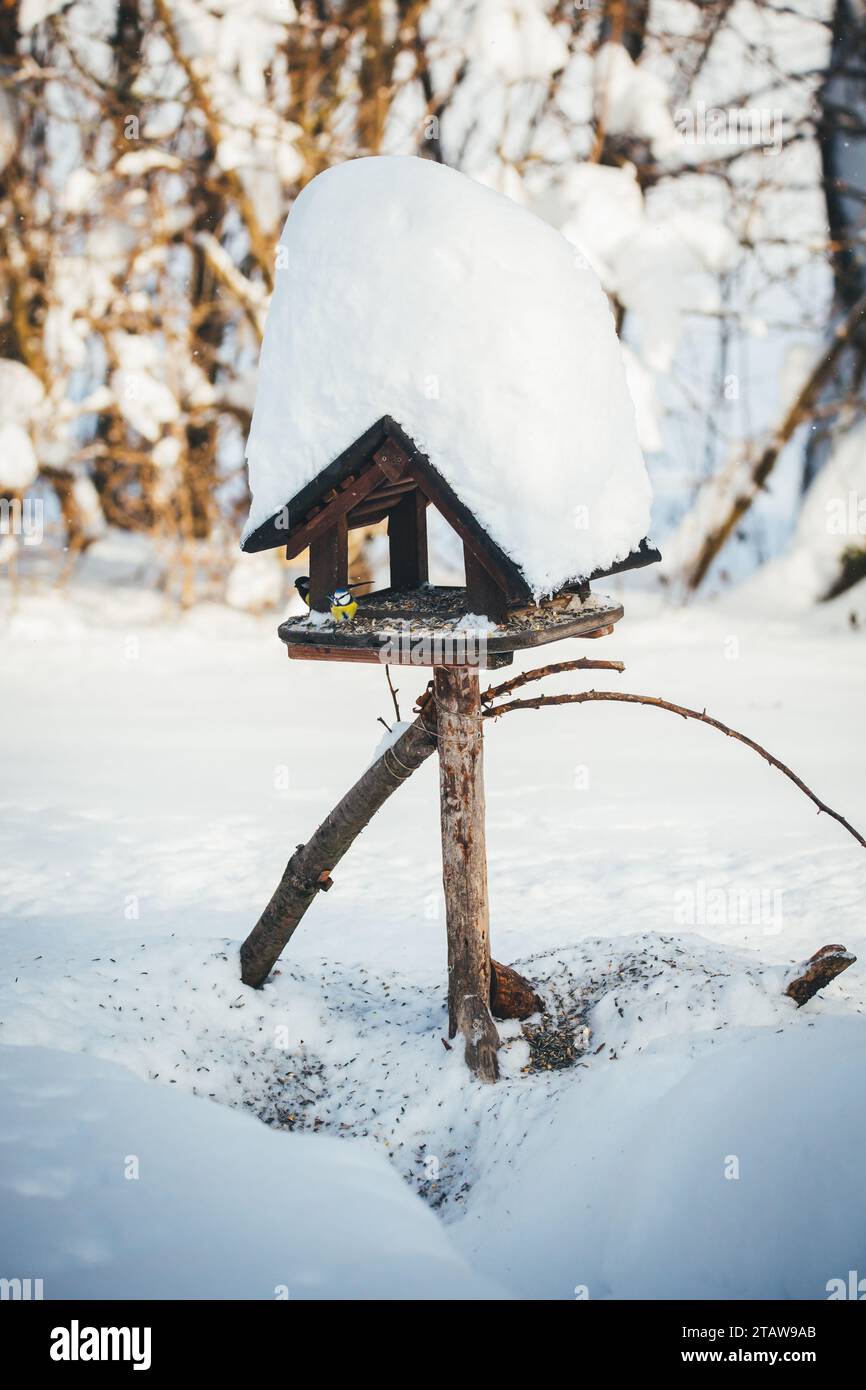Dare da mangiare agli uccelli in inverno / tavolo per uccelli Foto Stock