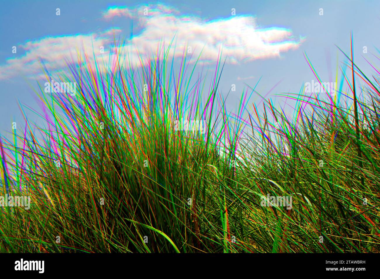 Sabbia erba duna con effetto colore rosso verde blu a tripla esposizione Foto Stock