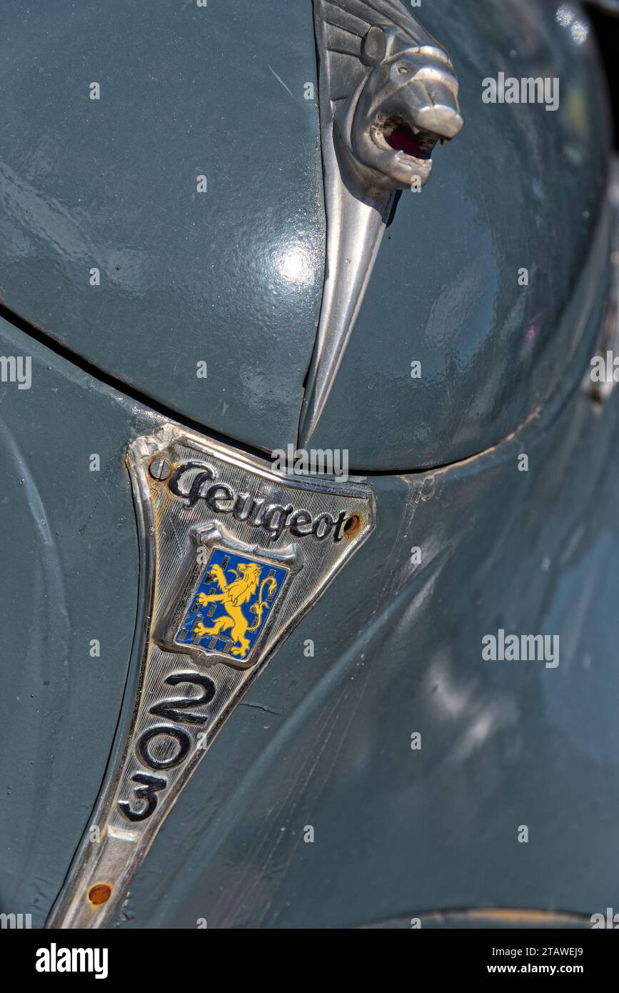 Capot avant et emblème du Lion de la 203 peugeo - cofano anteriore ed emblema leone per la peugeot 203 Foto Stock