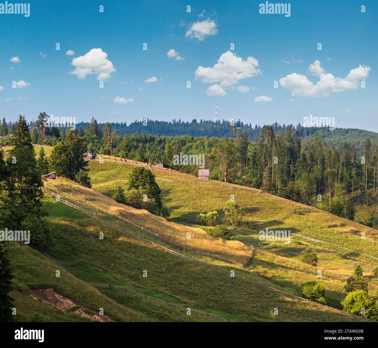 Pittoresca estate Carpazi montagna vista campagna, Ucraina Foto Stock