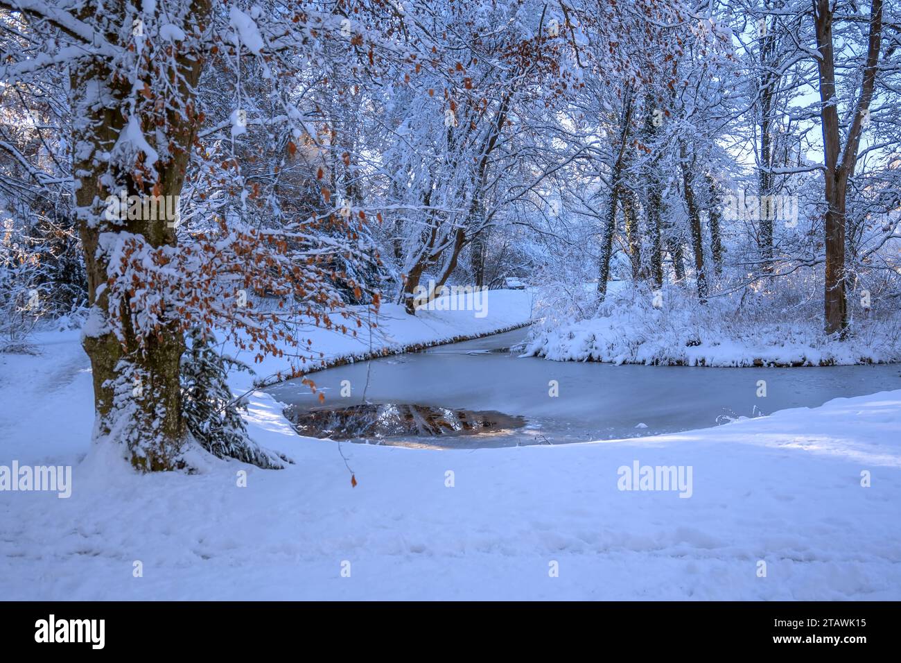 BADEN-WUERTTEMBERG : LAUPHEIM - PARCO DEL CASTELLO INNEVATO Foto Stock