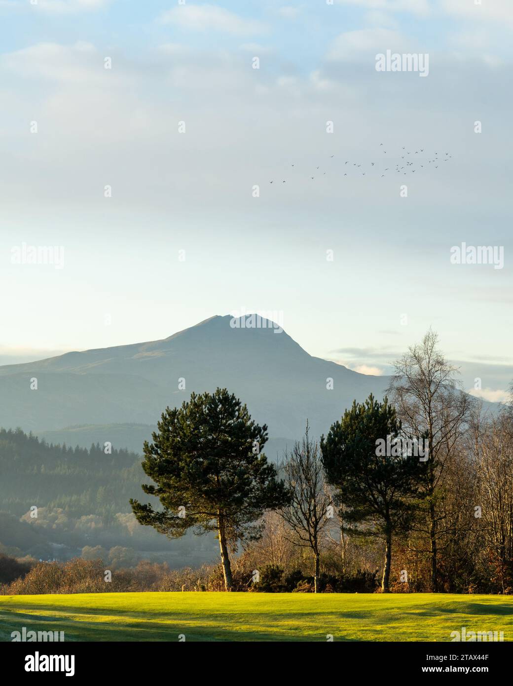 Aberfoyle Golf Course, Scozia Foto Stock