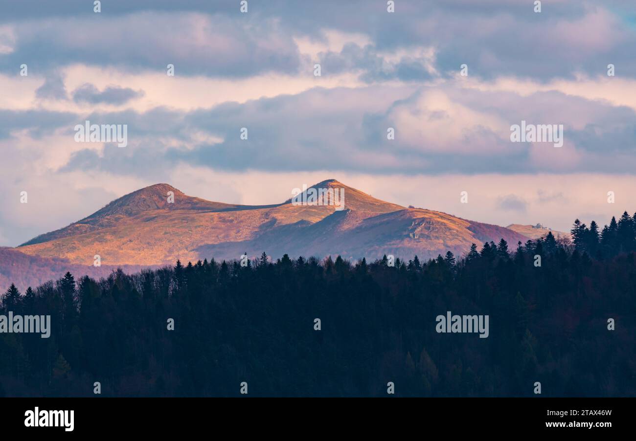 Vista del picco Smerek e Połonina Wetlińska nei monti Bieszczady. Carpazi orientali, Polonia. Foto Stock