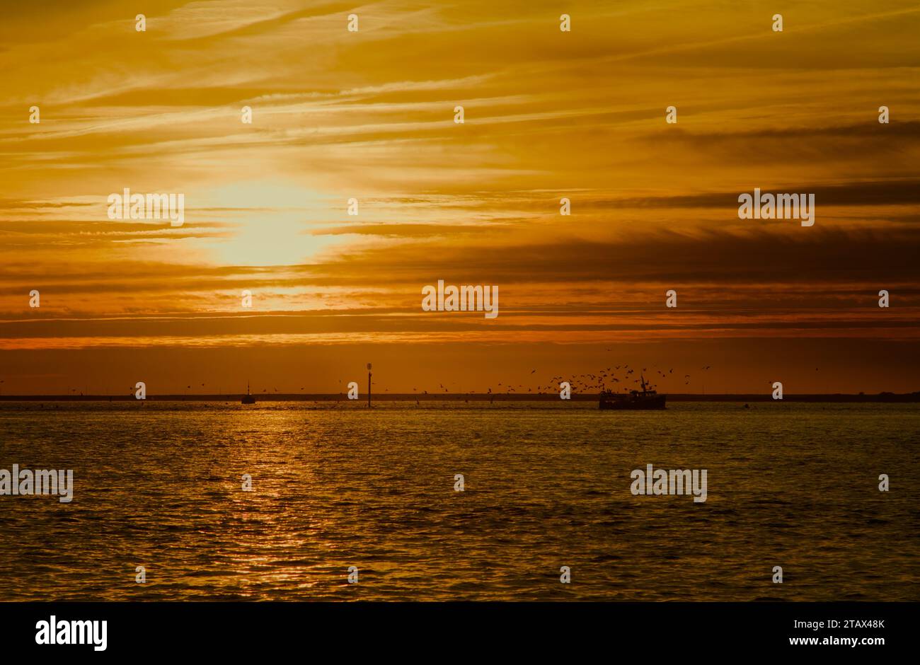Gabbiani, uccelli che seguono Una barca da pesca che fa ritorno a Lymington sul Solent a Sunset, Regno Unito Foto Stock