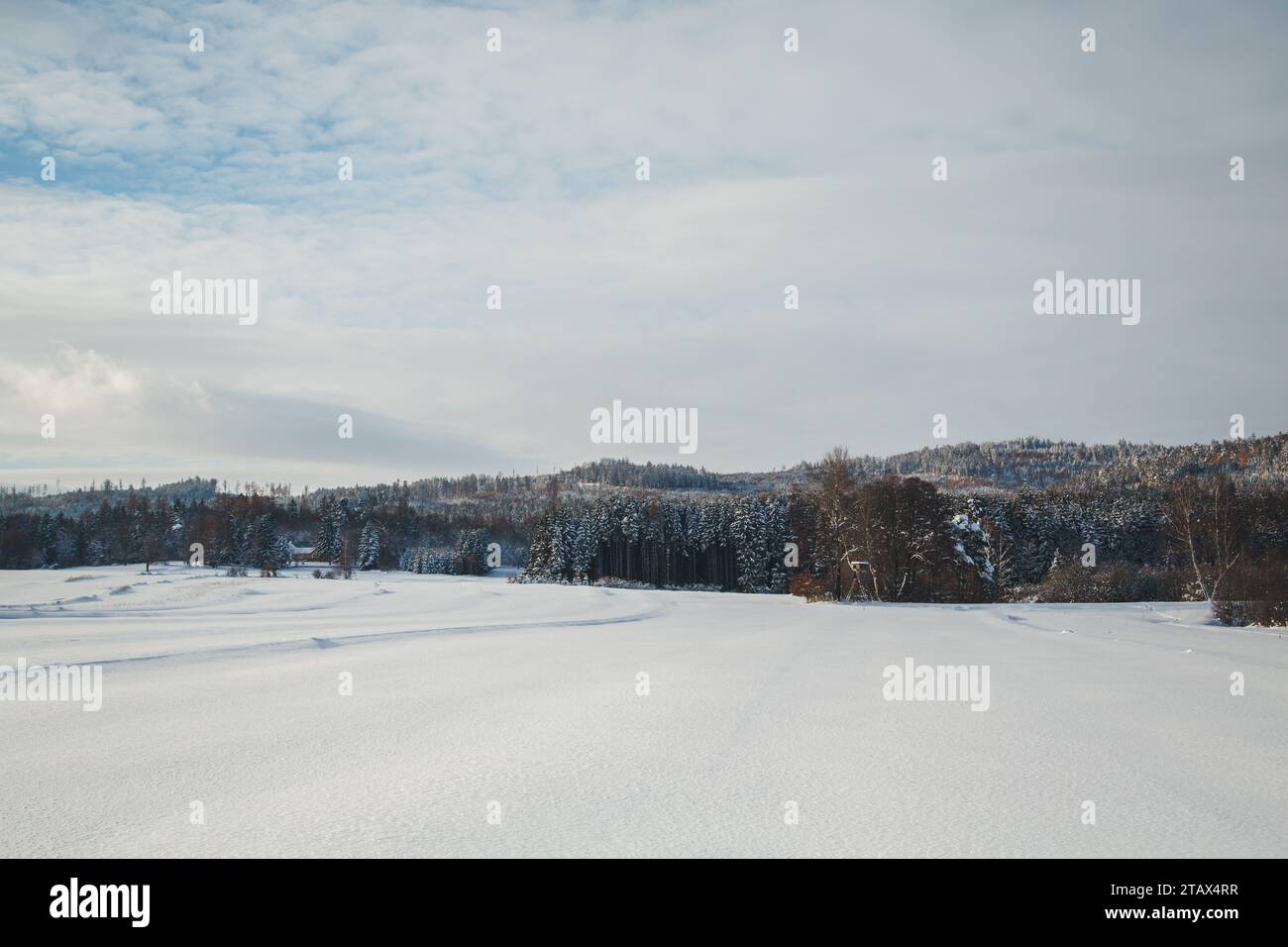 Winter Wonderland - paesaggio di Waldviertel coperto di neve, Austria Foto Stock