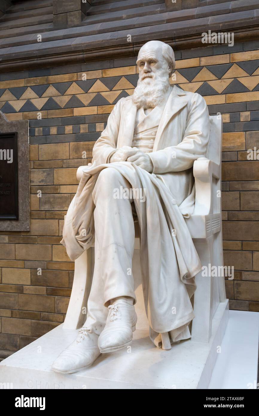 Statua di Charles Darwin, Museo di Storia Naturale, Kensington, England, Regno Unito Foto Stock