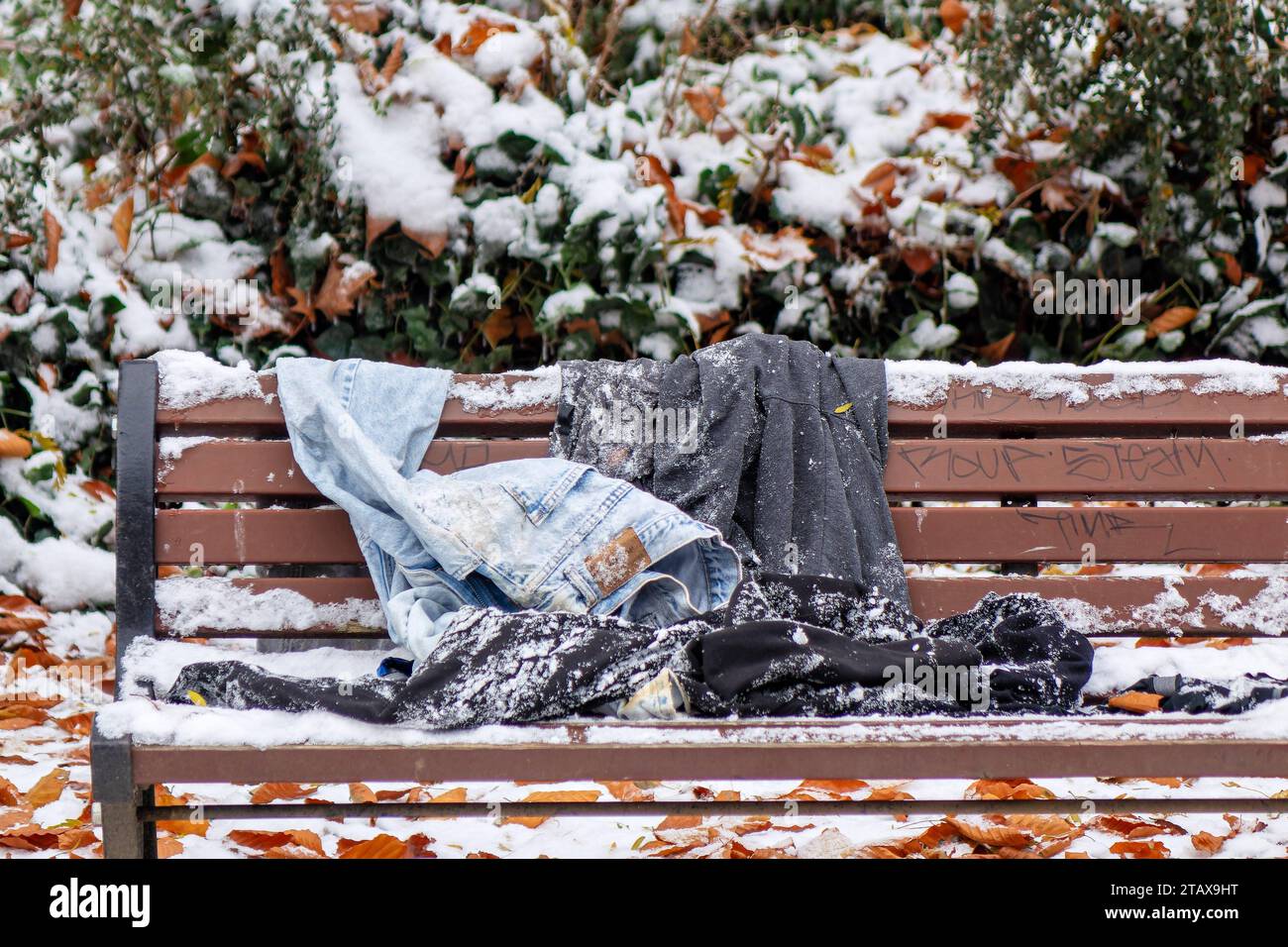 03.12.2023, Kleidungsstücke liegen auf einer schneebedeckten Parkbank. *** 03 12 2023, capi di abbigliamento sdraiati su una panchina del parco innevato credito: Imago/Alamy Live News Foto Stock