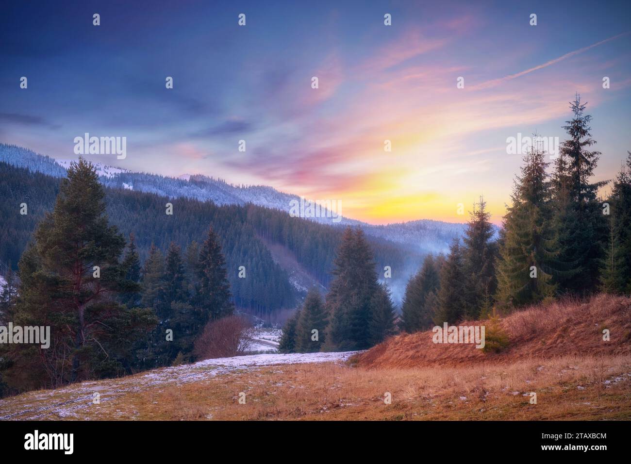 Splendido tramonto in montagna. Paesaggio colorato con montagne innevate, foresta e cielo spettacolare. Foto Stock
