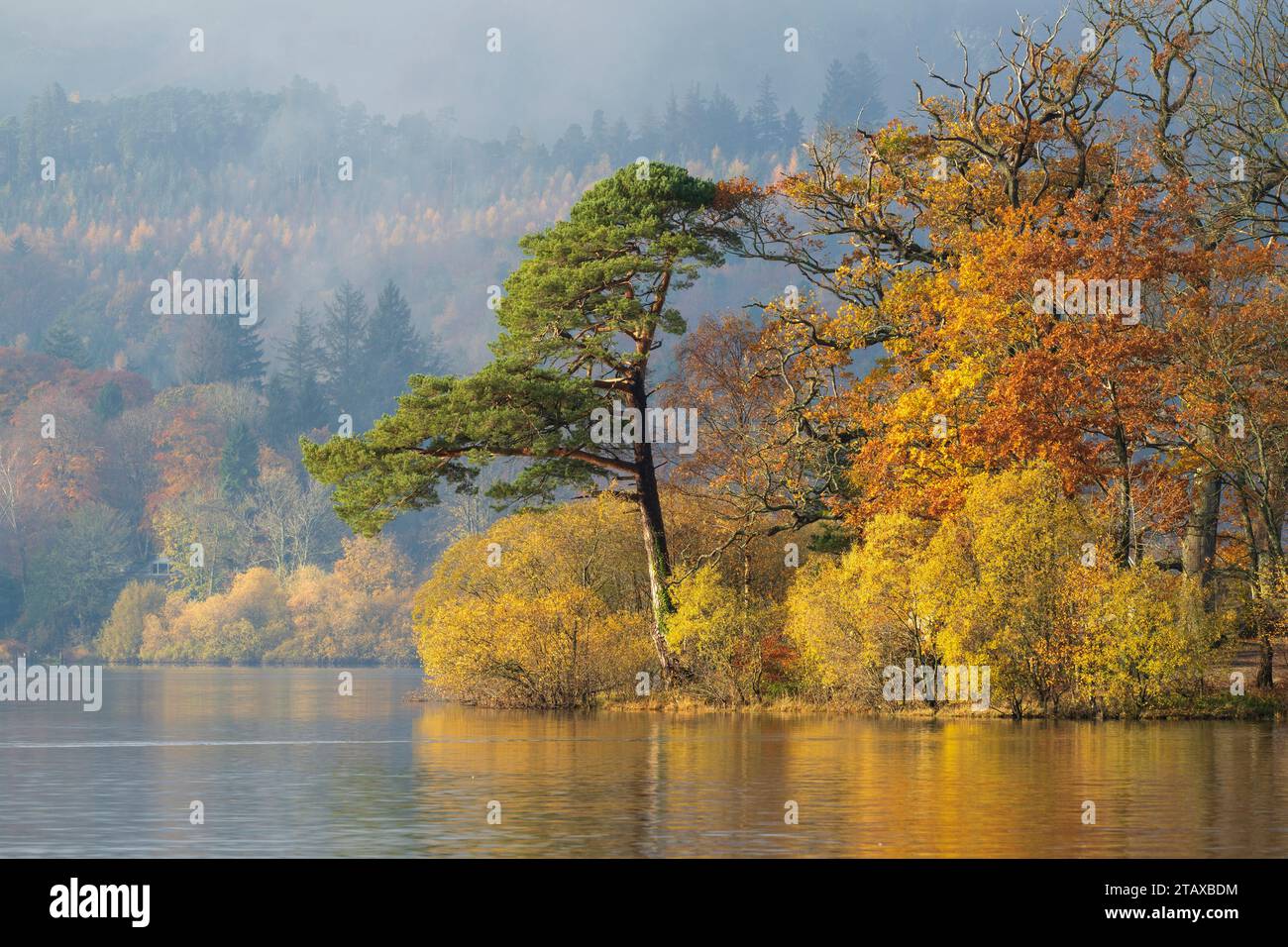 Ricchi colori autunnali intorno a Keswick e alle rive di Derwent Water nel tardo autunno, Regno Unito Foto Stock