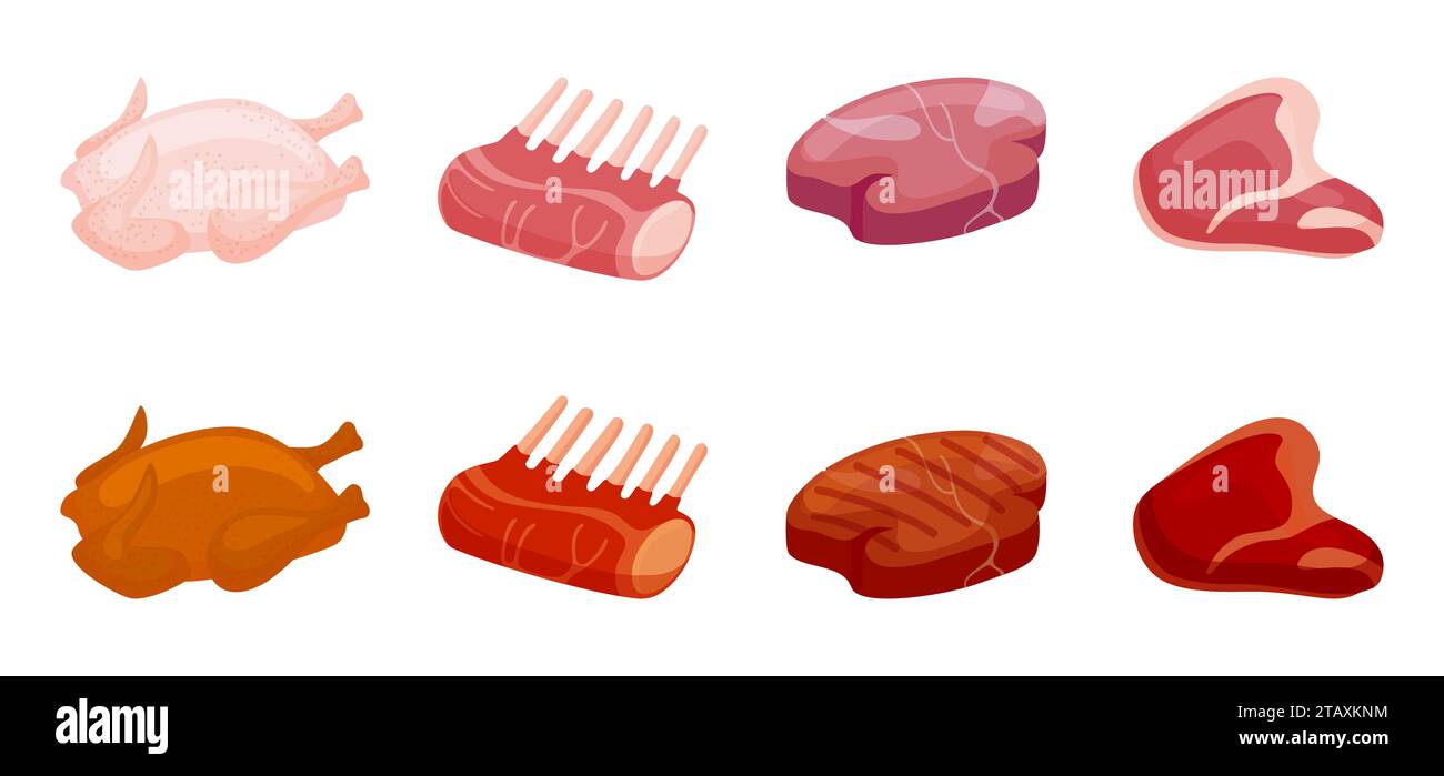 Carne barbecue fritta. Piatti da festa, affettati cotti e crudi di stagione. Ingredienti del menu Steakhouse, piatti freschi isolati da cartoni animati, set vettoriale neoterico Illustrazione Vettoriale