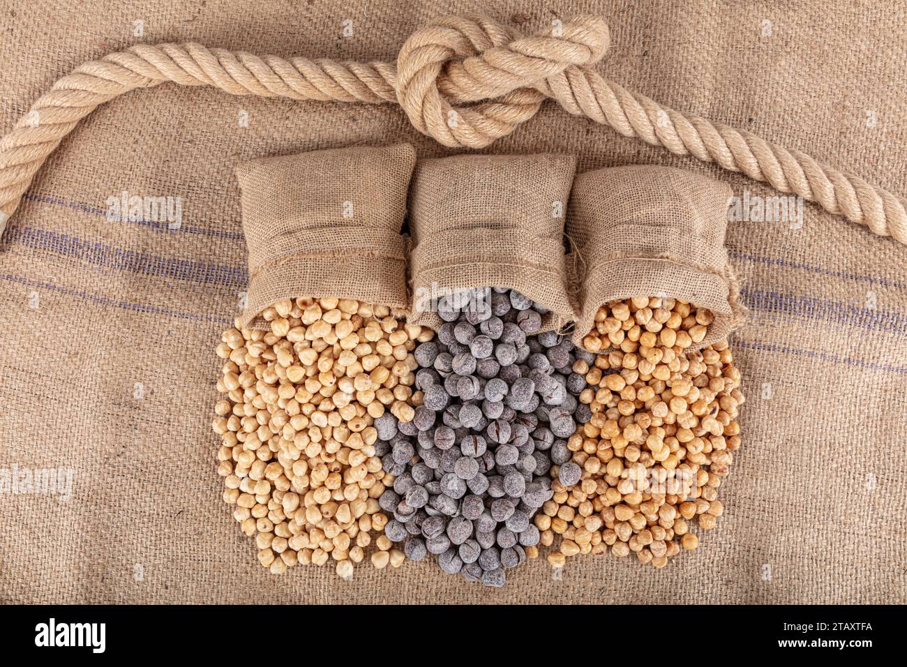 Varietà di nocciole su fondo di lino e torni di lino. Nocciole tostate sgusciate, nocciole sgusciate e nocciole tostate senza guscio. Cibo sano co Foto Stock