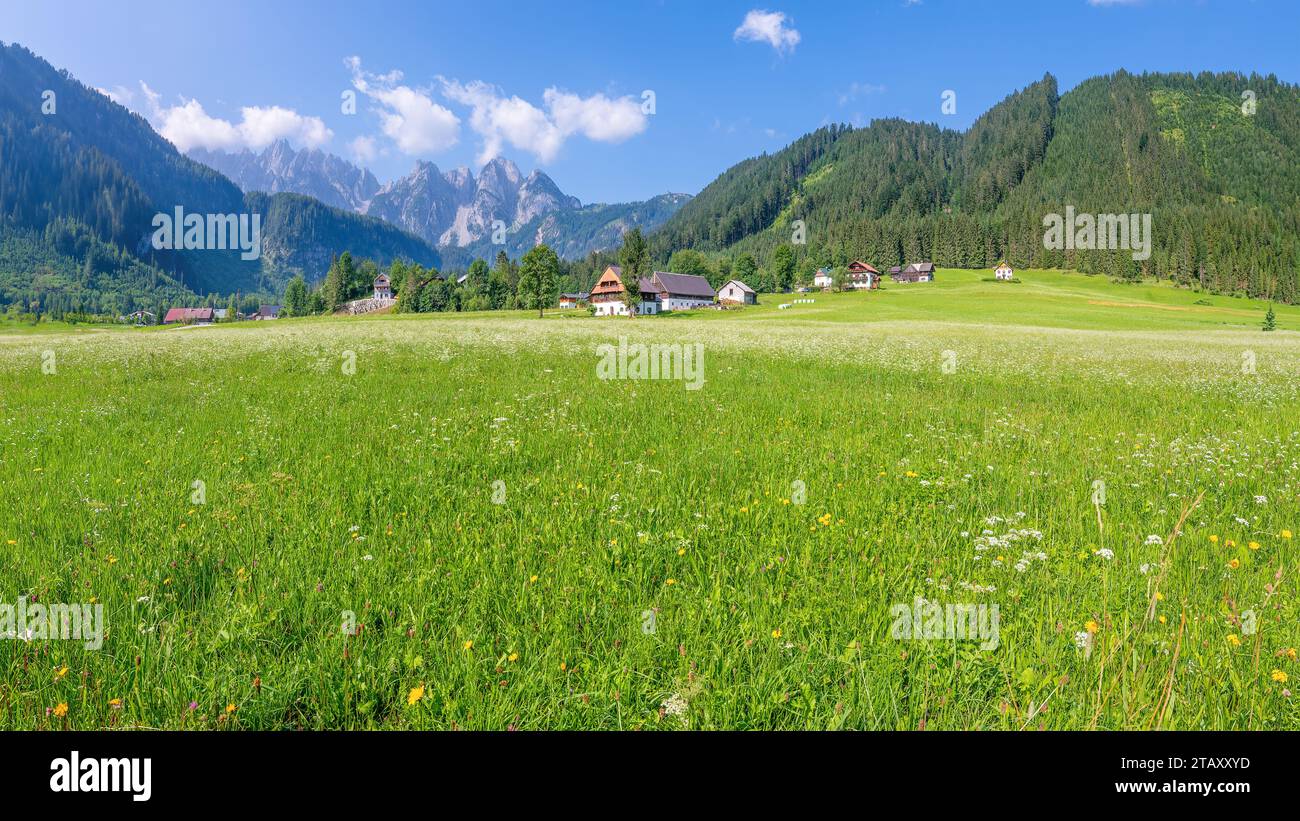 La bella regione di Wildschönau si trova in una remota valle alpina a circa 1.000 metri di altitudine sulle pendici occidentali delle Alpi Kitzbühel. Foto Stock