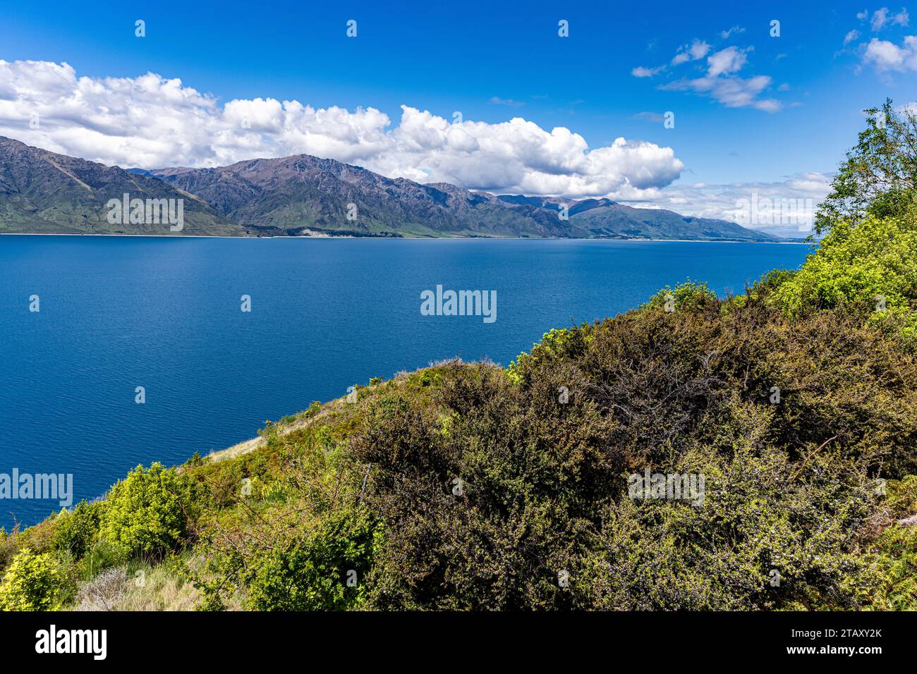 Vista del lago Wanaka da Wanaka e dalle aree panoramiche. Foto Stock