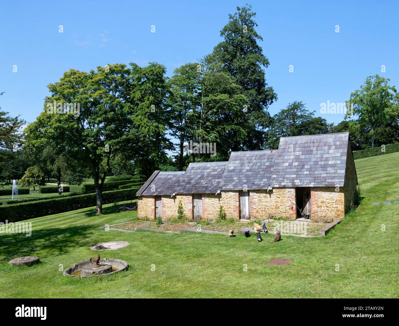 Hens Foraging by the Fowl House, The Newt, Bruton, Somerset, UK, luglio. Foto Stock